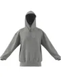 Sweat a capuche manches longues Homme M ALL SZN HD Gris