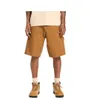 Short Homme Carpenter Lavé