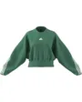 Sweat manches longues Femme W FI 3S CREW Vert