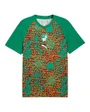 Maillot Échauffement Homme Côte d'Ivoire Puma