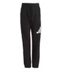 Ensemble de survetement Enfant J BL FL JOG 240 Noir