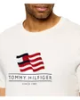 T-Shirt Homme RWB Main Flag Regula
