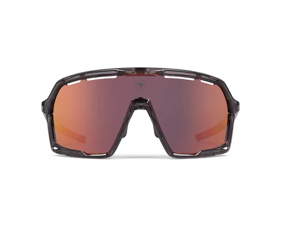 Lunettes Unisexe PRO SL Gris