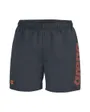 Short de bain Homme FUNDAMENTALS ARENA LOGO BOXER R Gris