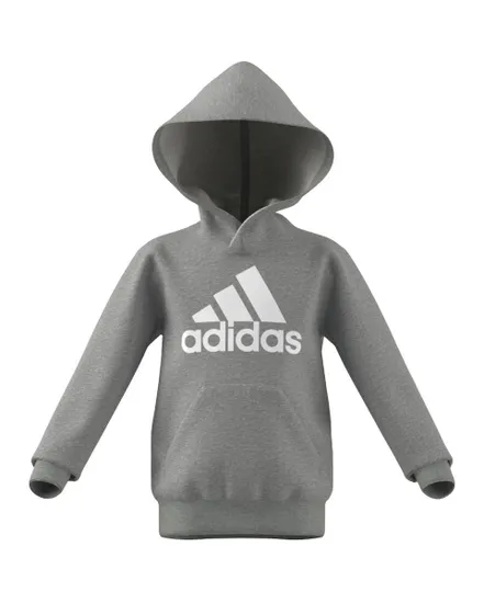 Sweat a capuche manches longues Enfant LK BL FT HD Gris