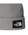 Bonnet SALTY LINED BEANIE Gris