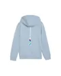 Sweat à capuche Enfant BMW MMS KIDS ESS HOODIE FT Bleu