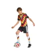 Maillot Pré-Match Homme DFB PRESHI H Y