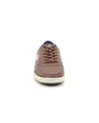 Chaussures Homme UM PADDY Marron