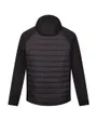 Veste à capuche Homme ANDRESONVIIIHYBRD Noir