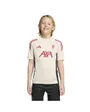Maillot de football Enfant LFC TR JSY Y Blanc