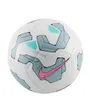 Ballon Unisexe NIKE PITCH Blanc