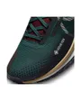 Chaussures de trail Homme NIKE REACT PEGASUS TRAIL 4 GTX Vert