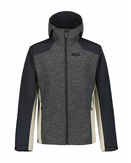 Veste à capuche Homme BEEDEVILLE Gris