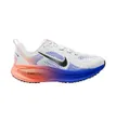 Chaussures de running Homme NIKE VOMERO 18 Multicolore