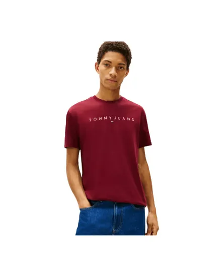 T-Shirt Homme Tommy Jeans Linear Logo Tee