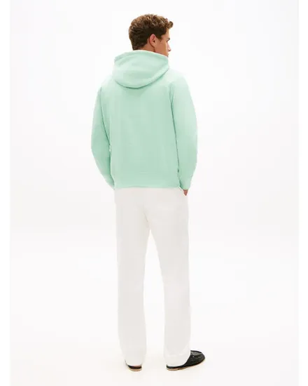 Sweat à capuche Homme TOMMY LOGO HOODY Vert