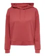 ONPLOUNGE LS HOOD SWEAT NOOS