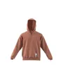 Sweat a capuche manches longues Homme M CAPS HD Marron