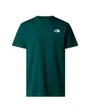 T-shirt Homme M SS BOX NSE CELEBRATION TEE Vert
