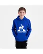 Sweat à capuche Enfant ESS HOODY N3 Bleu