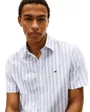 Chemise Homme Structure Multi Stp Ss