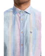 Chemise Homme Signature Chemise Ml