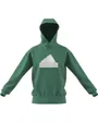 Sweat a capuche manches longues Homme M FI BOS HD Vert