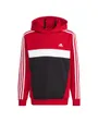 Sweat à capuche Enfant J 3S TIB FL HD Rouge