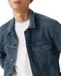 Veste Jean Homme Trucker