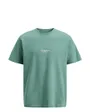 T-Shirt Homme JJESOHO