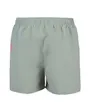 Short de bain Homme FUNDAMENTALS ARENA LOGO BOXER R Vert