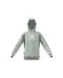 Sweatshirt à capuche manches longues Enfant U BOS HD Gris