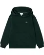 Sweat À Capuche Junior Garçon Core