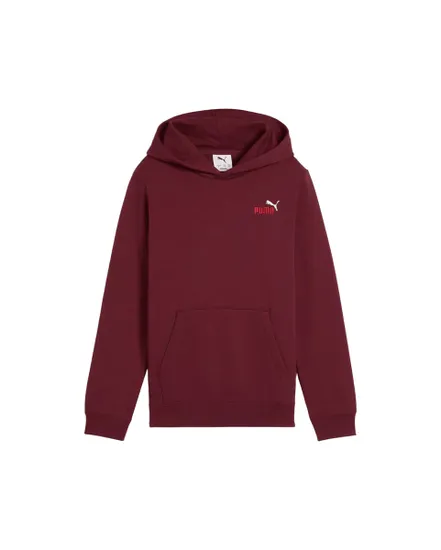 Sweatshirt À Capuche Garçon ESS 2 Color Small No