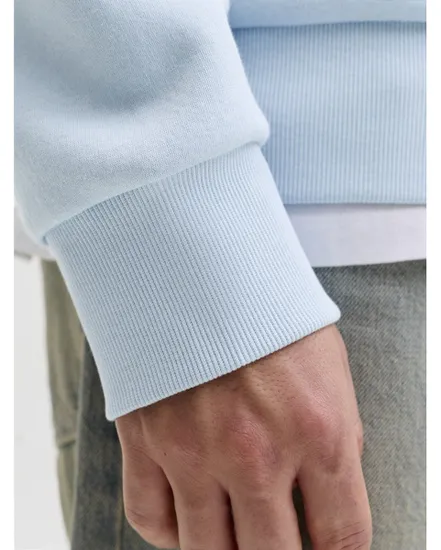 Sweat à capuche Homme JJELOGO SWEAT HOOD 2 COL 25/26 NOOS