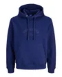 Sweat À Capuche Homme Jorbleecker Branding BF