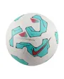 Ballon Unisexe NIKE PITCH - FA24 Blanc