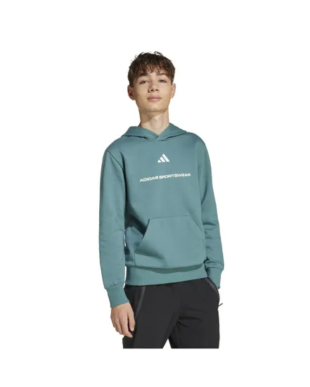 Sweat à capuche Enfant B FL HD Bleu