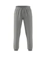 Pantalon de survetement Homme M ALL SZN PT Gris