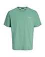 T-Shirt Homme JORFABRON Manches Courtes Col Rond