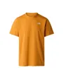 T-Shirt Homme Evolution Simple Dome Regular