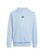 Sweat à Capuche Homme B FL HD