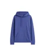 Sweat À Capuche Homme Flag Hoodie