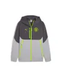 Sweat zip à capuche Homme MCFC PUMATECH FZ HOO Gris
