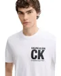 Tee-Shirt Homme Logo CK