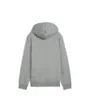 Sweat à capuche Enfant ESS NO. 1 LOGO HOODIE FL B Gris