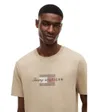 T-shirt Homme Script Flag Regular