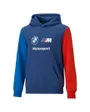 Sweat a capuche manches longues Enfant JR BMW MMS ESS HDY Bleu