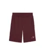Short Homme Logo Puma No 1
